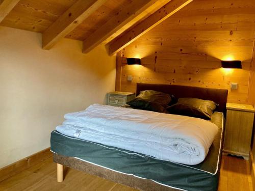 Duplex lumineux pour 6 pers à 250m des pistes, animaux admis
