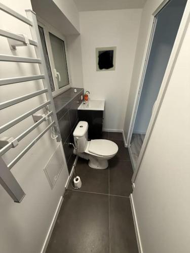 une petite salle de bain avec toilettes et lavabo dans l'établissement En bord de loire, à Roanne