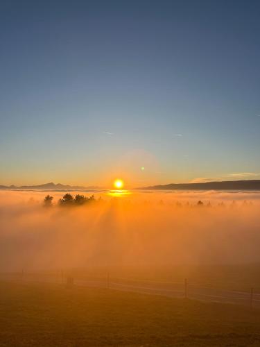a misty sunrise with the sun rising over a field at Künstlerstubn in Hartneidstein