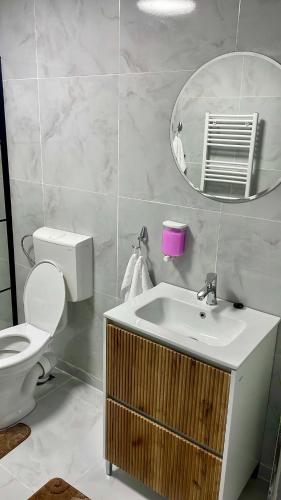a bathroom with a sink and a toilet and a mirror at Palko Residence 2 in Ocna-Mureşului