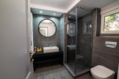 a bathroom with a toilet and a sink and a mirror at Pensiunea Pyramia in Gura Humorului