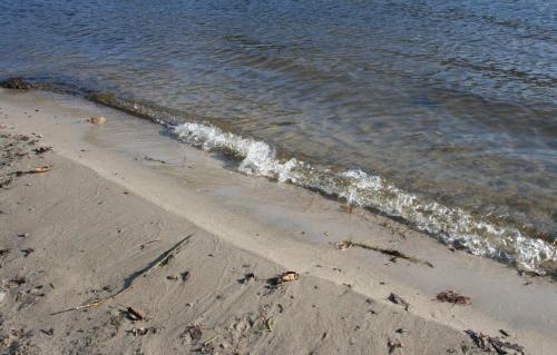 a beach with the water and the shoreline at Ferienhof Lucht in Mühbrook