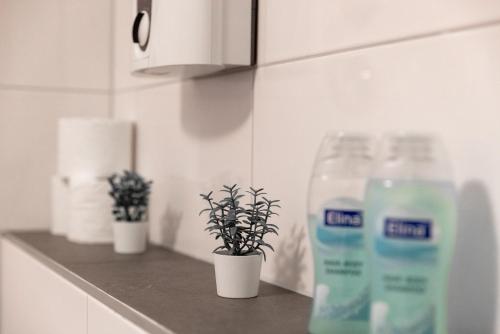 a kitchen counter with a bottle of water and plants at Kleines zentrales Apartment in Goch - Netflix in Goch