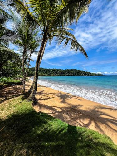 a beach with two palm trees and the ocean at Bom Bom - Principe Collection in Principe