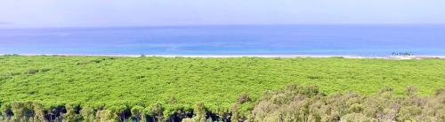 a large green field with the ocean in the background at Borgonovo Penthouse 13P in Pizzo