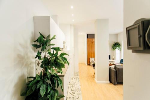 Bright Renovated Full of Natural Light 2BR 2BA