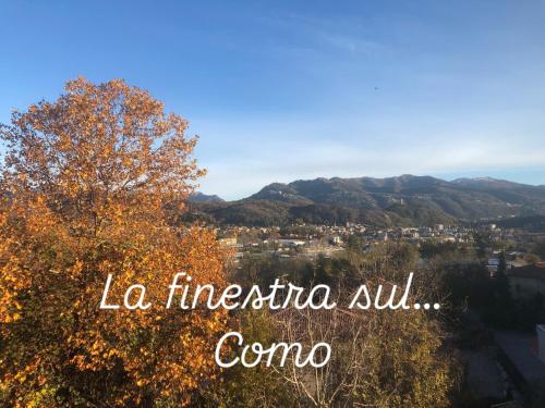 a tree with the words la incerta au comuna at Le Mimose Holiday House di Como - Grandate in Grandate