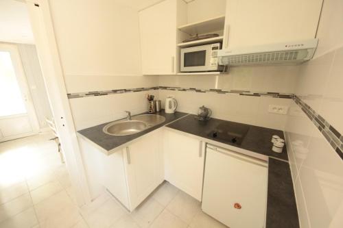 une petite cuisine avec un évier et un micro-ondes dans l'établissement Le Petit Pez, à Saint-Nazaire