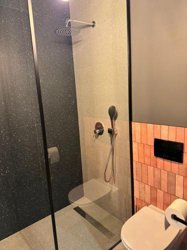 a shower in a bathroom with a toilet at Klimatyczne pokoje na Ligonia in Turza Śląska