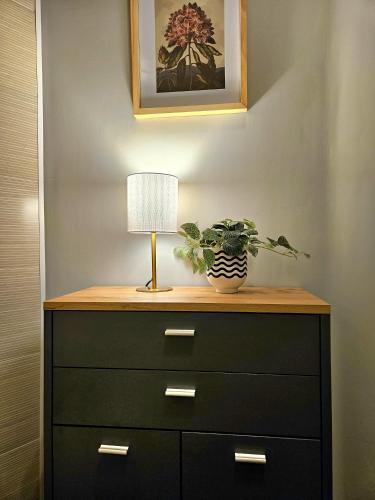 a dresser with a lamp and a plant on it at Heart of Old Riga 3 Bedroom Apartment by Dome Square in Rīga
