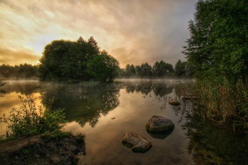 a misty lake with rocks in the water and trees at Centrum One in Suwałki