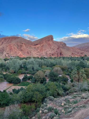 a desert with trees and a mountain in the background at Maison D'hôte La Vallée Des Figues in Tamellalt