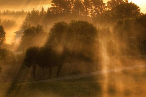 a foggy field with trees and a house in the background at Centrum One in Suwałki