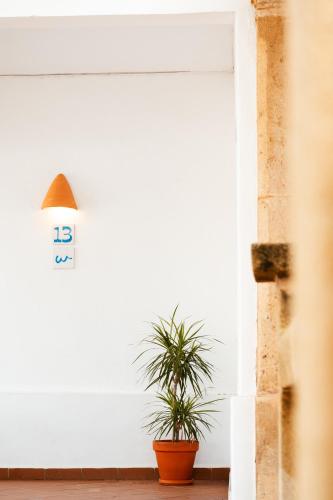 a potted plant sitting next to a white door at Los Bungalows Del Arenal in Jávea