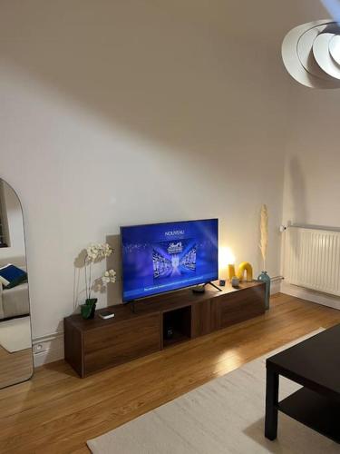 Magnifique & Cozy appartement au cœur de Strasbourg avec terrasse