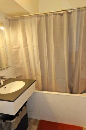 une salle de bain avec un lavabo et un rideau de douche dans l'établissement Vu parc, détendez vous au calme !, à Fontenay-sous-Bois