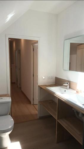 une salle de bain avec toilettes, lavabo et miroir dans l'établissement Maison Spacieuse avec Terrasse extérieure, à Gouesnach