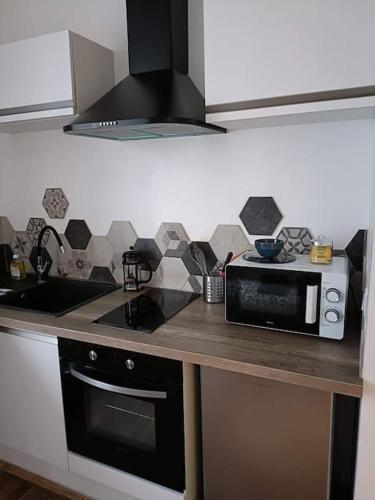 une cuisine avec un comptoir avec un micro-ondes dans l'établissement Agréable studio - Wi-Fi - cuisine complète, à Dijon