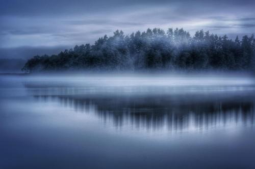 a misty lake with trees in the background at Suwałki Centrum Studio in Suwałki