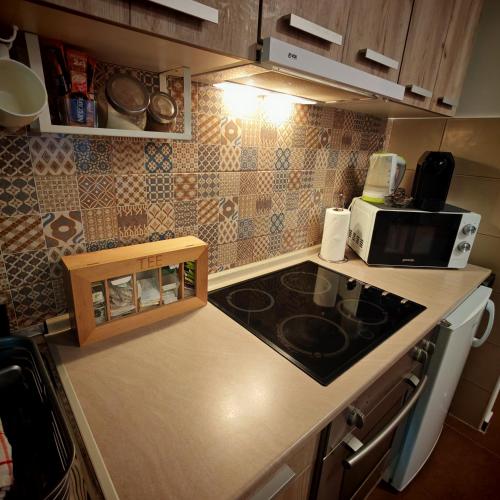 a small kitchen with a stove and a microwave at Apartman_Krstić_1 in Subotica