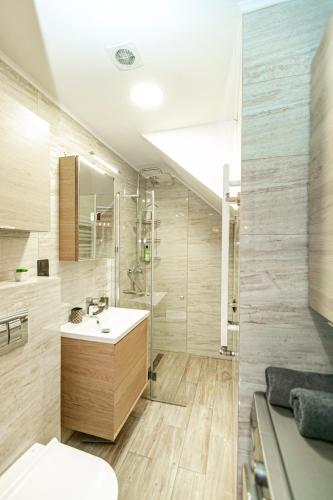 a bathroom with a sink and a shower and a toilet at Brzozowy Dwór Apartament I in Zamość
