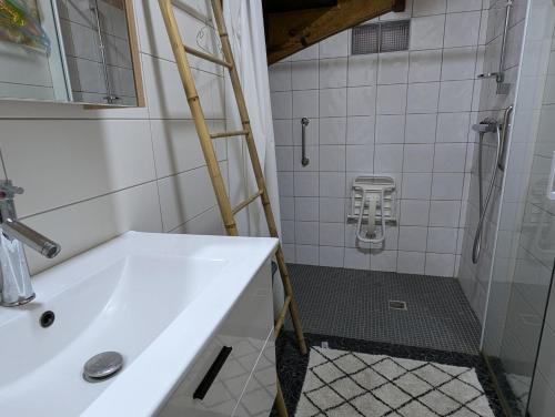 une salle de bain avec un lavabo et une douche dans l'établissement Ferme Bigourdane, à Poueyferré