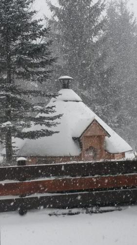 a house covered in snow with trees in the background at Stahlecker Hof in Lichtenstein