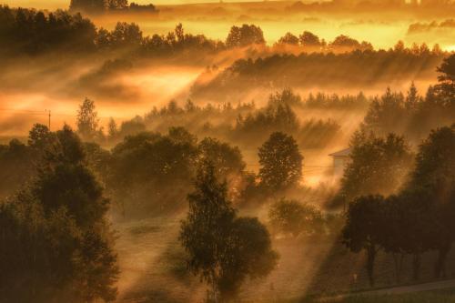 a foggy field with trees and a house in the foreground at Apartament Suwałki Centrum Wesoła in Suwałki