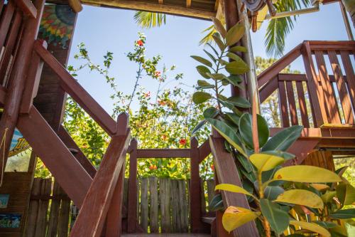 Κήπος έξω από το Guarda Encantada Surf Hostel