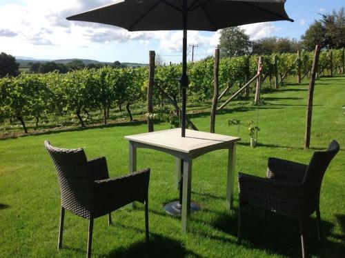 a table and chairs with an umbrella in the grass at Vineyard lodge in Herefordshire in Ledbury