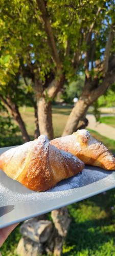 two pastries sitting on a table in a park at Villa Giummarito in Scicli
