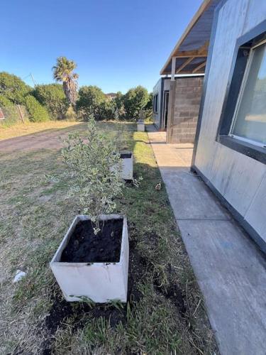EKÜ Chapa Tiny House - Playa Luna Roja 2