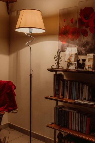 a floor lamp in a room with a book shelf at Guesthouse Giulietta e Romeo in Cossogno