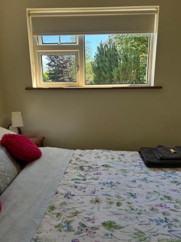 a bedroom with a bed with a window at Woodland Cottage in Galway