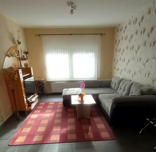 リュッベンにあるFerienhaus im Spreewaldのソファとコーヒーテーブルのあるリビングルーム