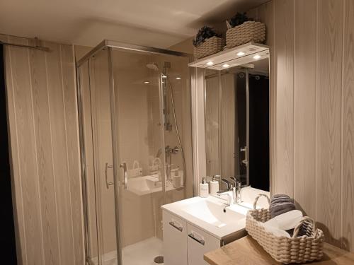 une salle de bain avec une douche, un lavabo et un miroir dans l'établissement La Savouè - Chambre, à Francin