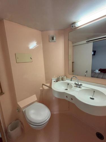 une salle de bain avec toilettes, lavabo et miroir dans l'établissement Classic Hôtel - Fontenay-Trésigny, à Fontenay-Trésigny