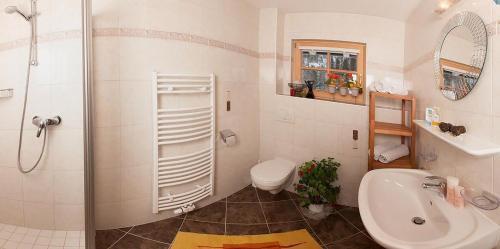 a bathroom with a shower and a toilet and a sink at Landhaus Schiestl in Mayrhofen