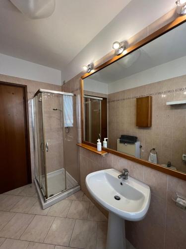 a bathroom with a sink and a shower and a mirror at Appartamento Bi locale Giusy in SantʼAntonio