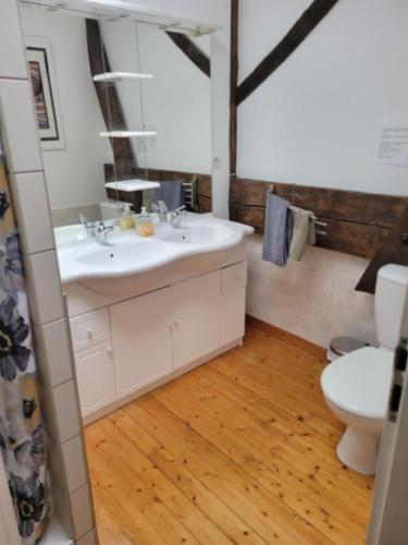 a bathroom with a sink and a toilet at Les Gîtes de Brives in Brives-sur-Charente