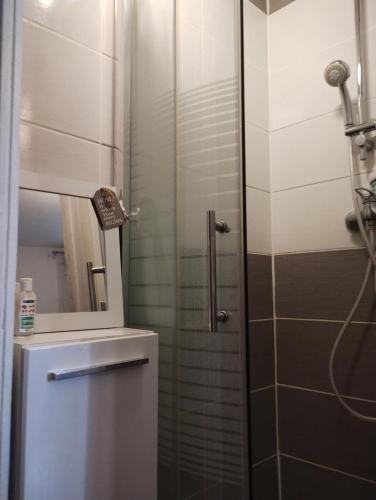 une salle de bain avec une douche avec un lavabo et un miroir dans l'établissement Charmant studio en centre ville, à Saint-Ouen