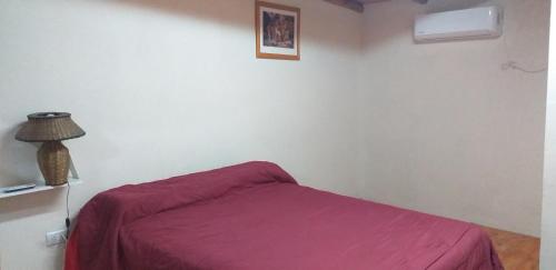 Un dormitorio con una cama con una manta morada. en Alojamiento castillo dpto 4, en Curuzú Cuatiá