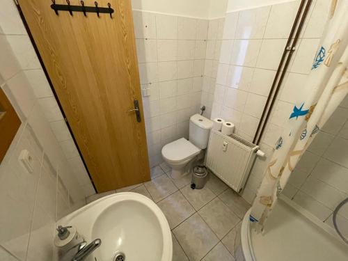 a small bathroom with a toilet and a sink at Byt v Kačení ulici in Olomouc