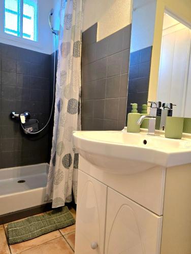 une salle de bain avec un lavabo et un rideau de douche dans l'établissement La Cigale Bleue - super vue mer, à 1min de la mer avec balcon et parking - By AURAconciergerie, aux Lecques