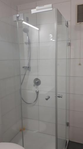 a shower with a glass door in a bathroom at Appartementhaus im Grün in Bad Bellingen