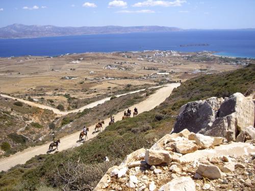 Φωτογραφία από το άλμπουμ του Angels Villas - Prime Concept στη Νάουσα