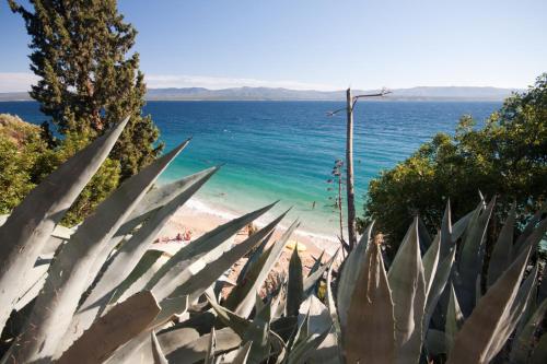 Φυσικό τοπίο κοντά σε αυτό το διαμέρισμα