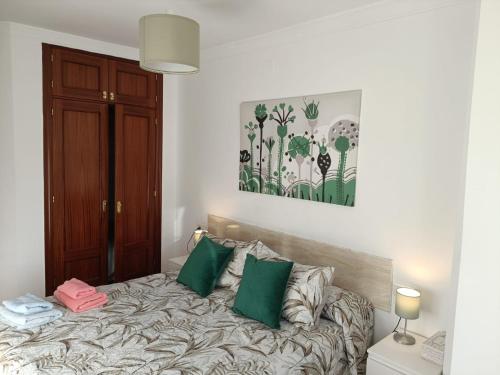 マラガにあるApto Ana. Malaga Centroのベッドルーム1室(ベッド1台、緑の枕2つ付)