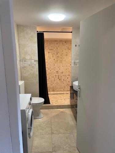 a bathroom with a toilet and a sink and a shower at B&B Malina Fruits in Hegelsom