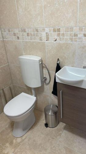 a bathroom with a white toilet and a sink at B&B Malina Fruits in Hegelsom